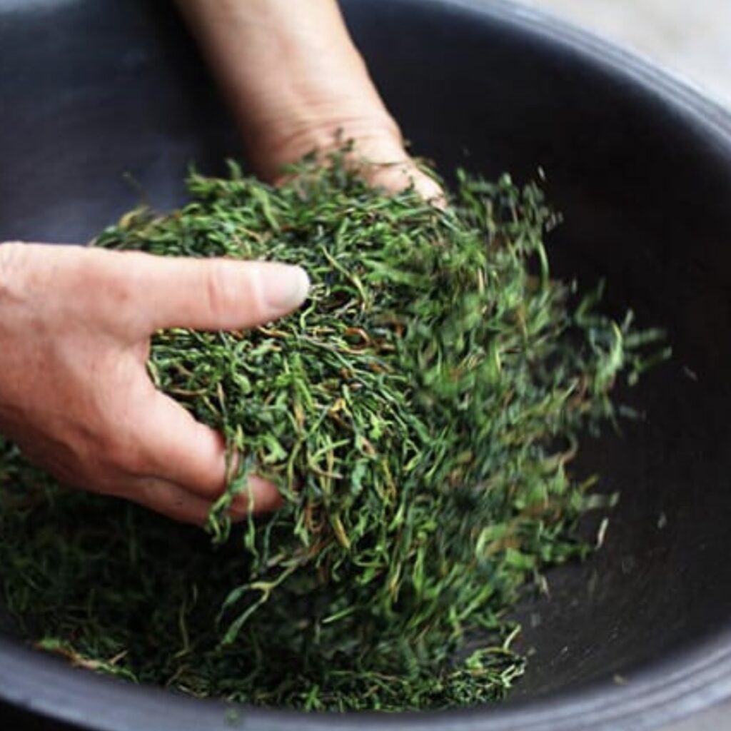 thé vert séché au wok en Chine